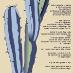 verticalizza sto cactus - flyer